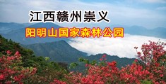 操我色在里面